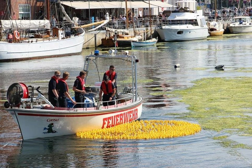 Knapp 1.700 Enten gingen für den guten Zweck ins Rennen.