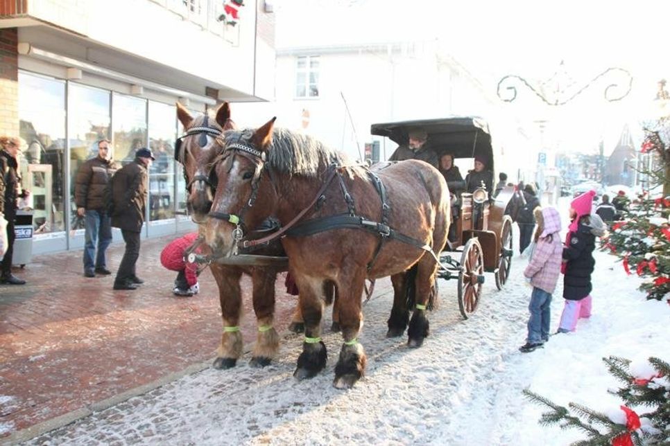 Kutschfahrten für den guten Zweck. (Foto: Stadtmarketing)