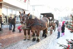 Kutschfahrten für den guten Zweck. (Foto: Stadtmarketing)