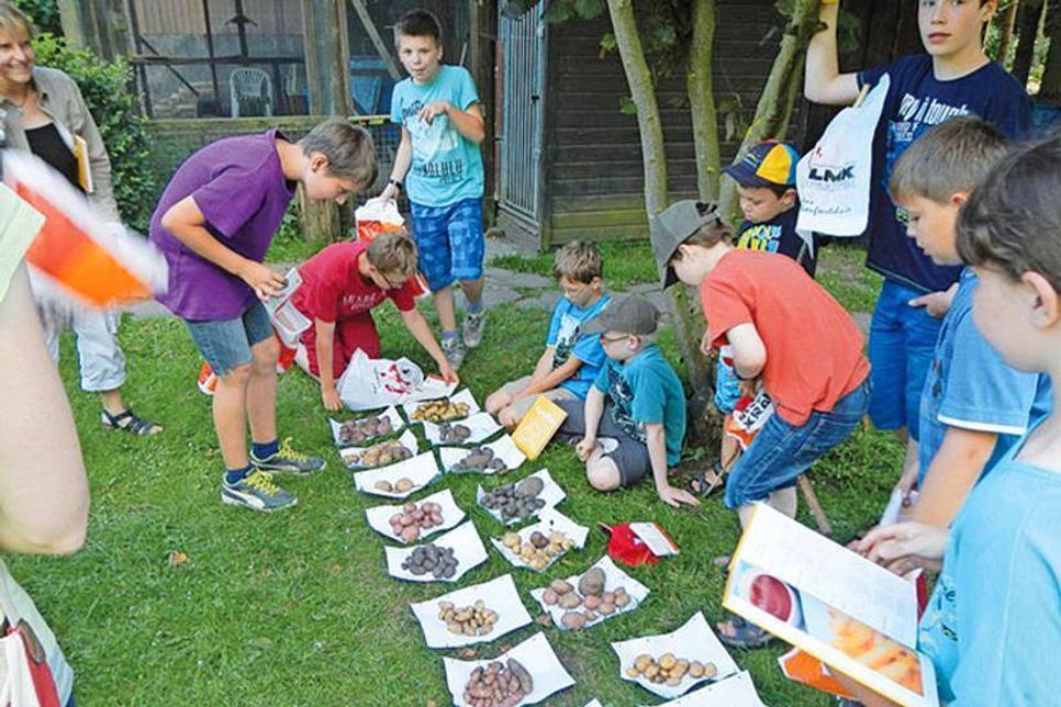 Der Verein „Erlebnis Natur“ eV wird mit 32.000 Euro gefördert – der Verein, der sich mit außerschulischer Umweltpädagogik beschäftigt, bringt spielerisch und praktisch Kinder und Jugendliche dazu, sich mit der Natur, mit Lebensmitteln und unserer Umwelt zu beschäftigen.