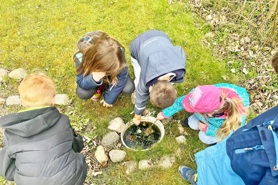 Der Garten hält viele Beschäftigungsmöglichkeiten bereit.