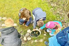 Der Garten hält viele Beschäftigungsmöglichkeiten bereit.