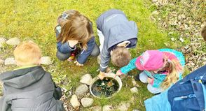 Der Garten hält viele Beschäftigungsmöglichkeiten bereit.