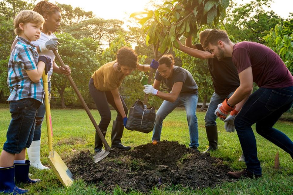 Wir wollen einen Baum pflanzen, wo dieser hinkommt, dürfen unsere Leserinnen und Leser bestimmen.