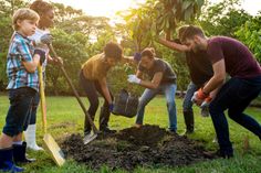 Wir wollen einen Baum pflanzen, wo dieser hinkommt, dürfen unsere Leserinnen und Leser bestimmen.