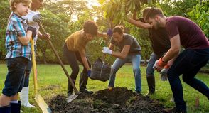 Wir wollen einen Baum pflanzen, wo dieser hinkommt, dürfen unsere Leserinnen und Leser bestimmen.