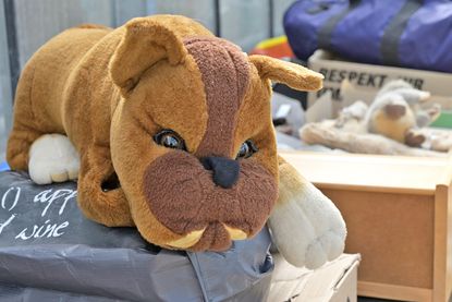 Knuddeln ist angesagt: Dieser treuherzig blickende Plüschhund ist eines von zahlreichen Stofftieren, die für den Benefizflohmarkt gespendet wurden.
