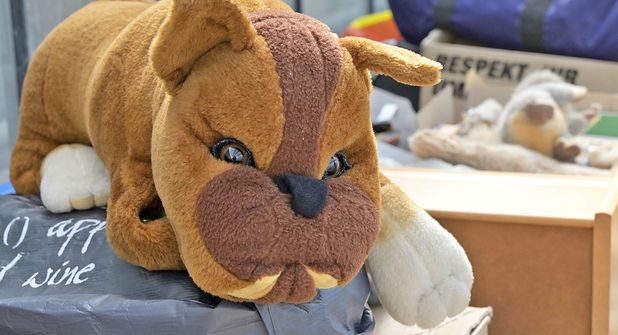 Knuddeln ist angesagt: Dieser treuherzig blickende Plüschhund ist eines von zahlreichen Stofftieren, die für den Benefizflohmarkt gespendet wurden.