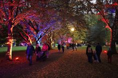 Viele Besucher kamen gleich am ersten Abend in den Kurpark, um sich von dem stimmungsvollen Lichterglanz faszinieren zu lassen. (Fotos: Christian Lück)