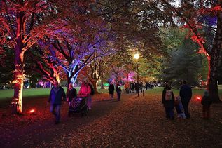 Viele Besucher kamen gleich am ersten Abend in den Kurpark, um sich von dem stimmungsvollen Lichterglanz faszinieren zu lassen. (Fotos: Christian Lück)
