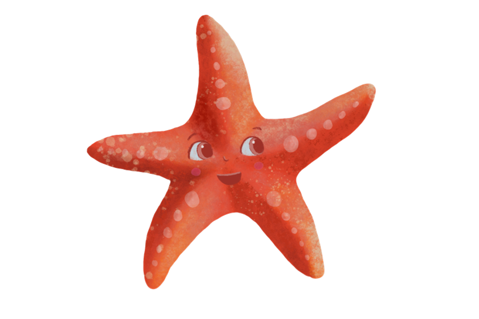 Der kleine Seestern gerät in ein Abenteuer, bei dem er neue Freunde trifft und wichtige Lektionen über Zusammenhalt, Mut und Freundschaft lernt.