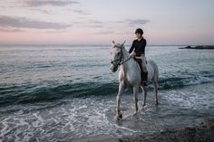 Mit dem Herbst, heißt es vielerorts „Strand frei“ für Hunde und Pferde.