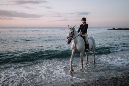Mit dem Herbst, heißt es vielerorts „Strand frei“ für Hunde und Pferde.