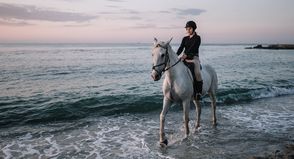 Mit dem Herbst, heißt es vielerorts „Strand frei“ für Hunde und Pferde.