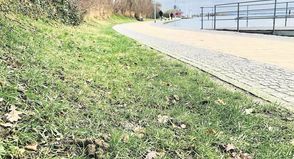 Vor allem am Oberen und Unteren Jungfernstieg liegen derzeit sehr viele Hundehaufen.