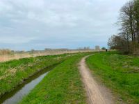 Der Rückweg führt entlang des Randkanals und der Salzwiesen.