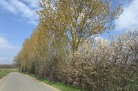 Knick in Stadtfurth.