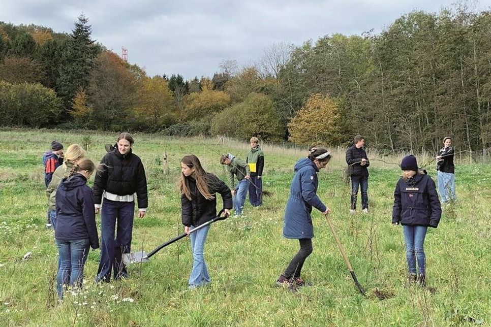 Anlässlich des fünfzigsten Geburtstags wurden 50 Bäume gepflanzt.