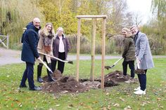 Staatssekretär Dr. Rolf Bösinger, (von links) Madelaine Engelbrecht (Fachdienst Bauverwaltung und Umweltausschuss), Klimaschutzbeauftragte Regine Maaß, Bürgervorsteherin Anja Evers und Bürgermeister Sven Partheil-Böhnke pflanzten zusammen den 41. Baum im alten Kurpark an der Bergstraße in Timmendorfer Strand.