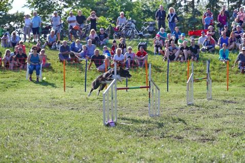 Zwei Tage dreht sich im Ostseebad Kellenhusen mit vielen Veranstaltungen alles um den besten Freund des Menschen.