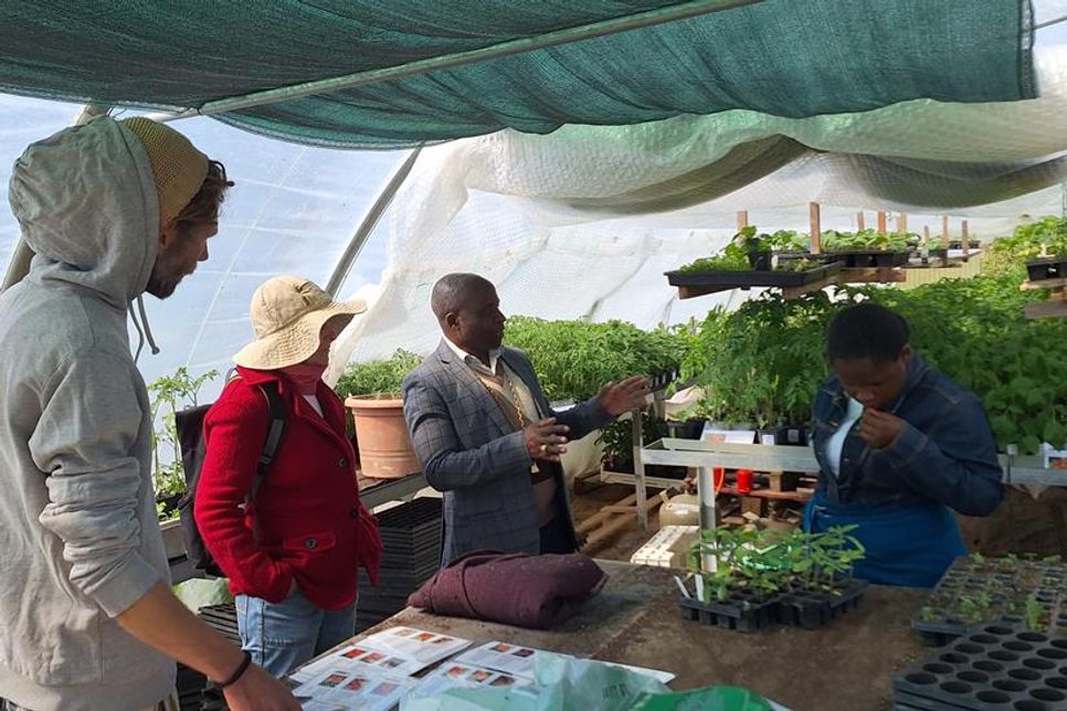 Staunen über mehr als 30 verschiedene Tomatensorten, die auf dem Hof angebaut werden.