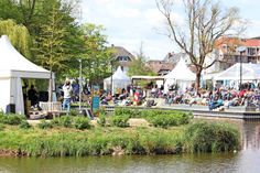 An vier Tagen präsentieren Singer und Songwriter im Scharbeutzer Kurpark Konzerte zum Verweilen. (Foto: TALB)