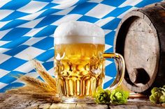 Die Bar Cosmopolitan bietet das Bierfest direkt an der Ostsee.