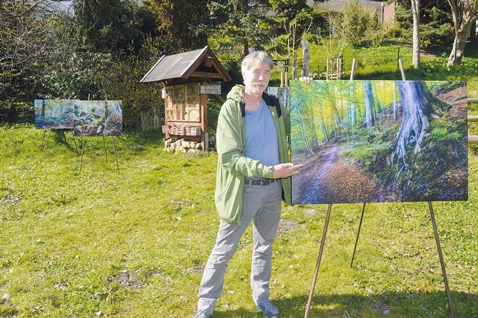 Elf sehenswerte Bilder zeigt der in Bad Schwartau lebende Fotograf Ingo Wandmacher im Bad Schwartauer Kurpark.