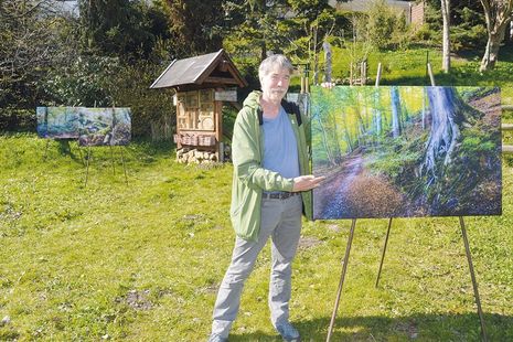 Elf sehenswerte Bilder zeigt der in Bad Schwartau lebende Fotograf Ingo Wandmacher im Bad Schwartauer Kurpark.