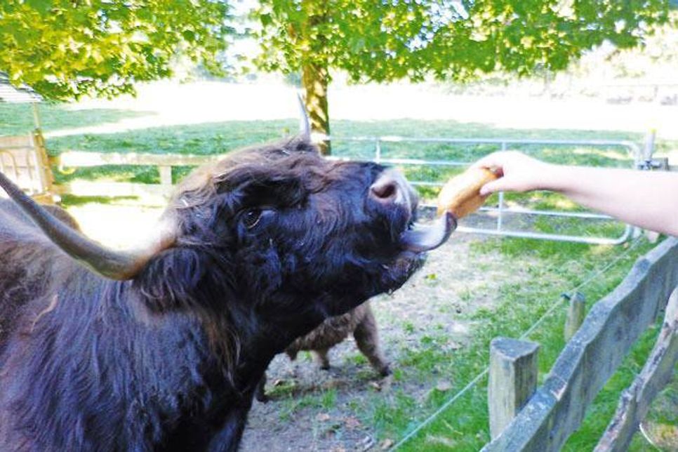 Franzi freut sich sichtlich über die Fütterung durch Praktikantin Alexandra Illiger.