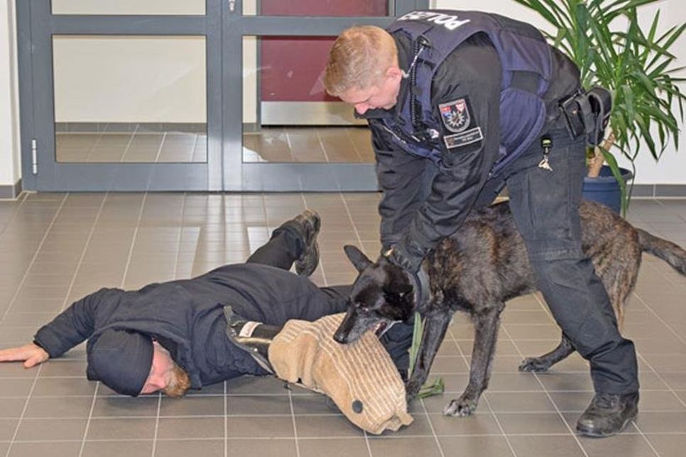 …nach wenigen Augenblicken ist der Einbrecher außer Gefecht gesetzt
