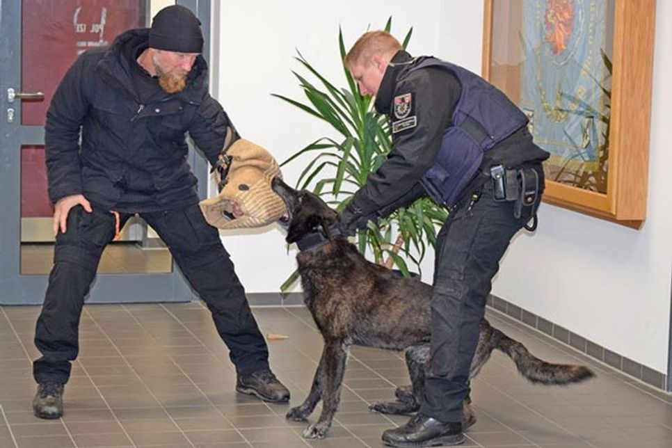 Polizeihund Aron hat den Täter gestellt…