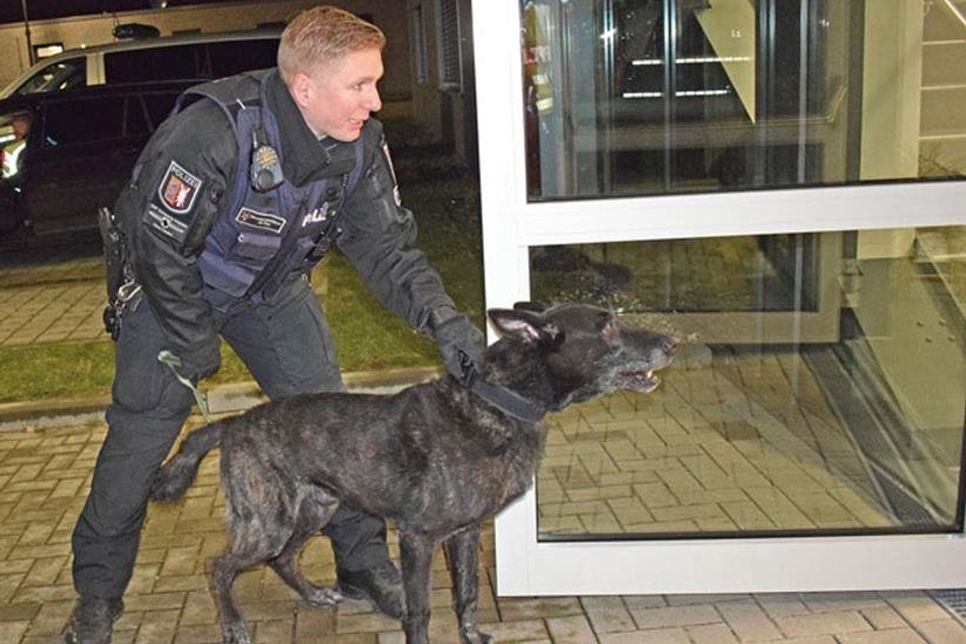 Training unter realen Bedingungen: Bevor Hund und Hundeführer das Gebäude betreten, hat der Einbrecher (gespielt von einem Beamten) die Chance rauszukommen