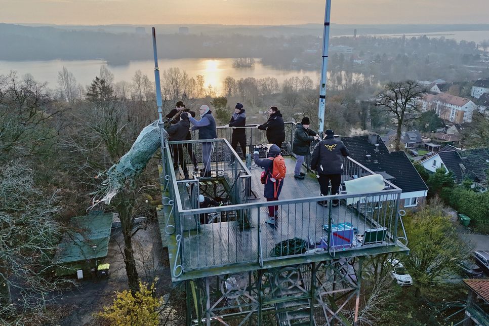 Mit vereinten Kräften wird der Baum auf die Plattform gehievt.