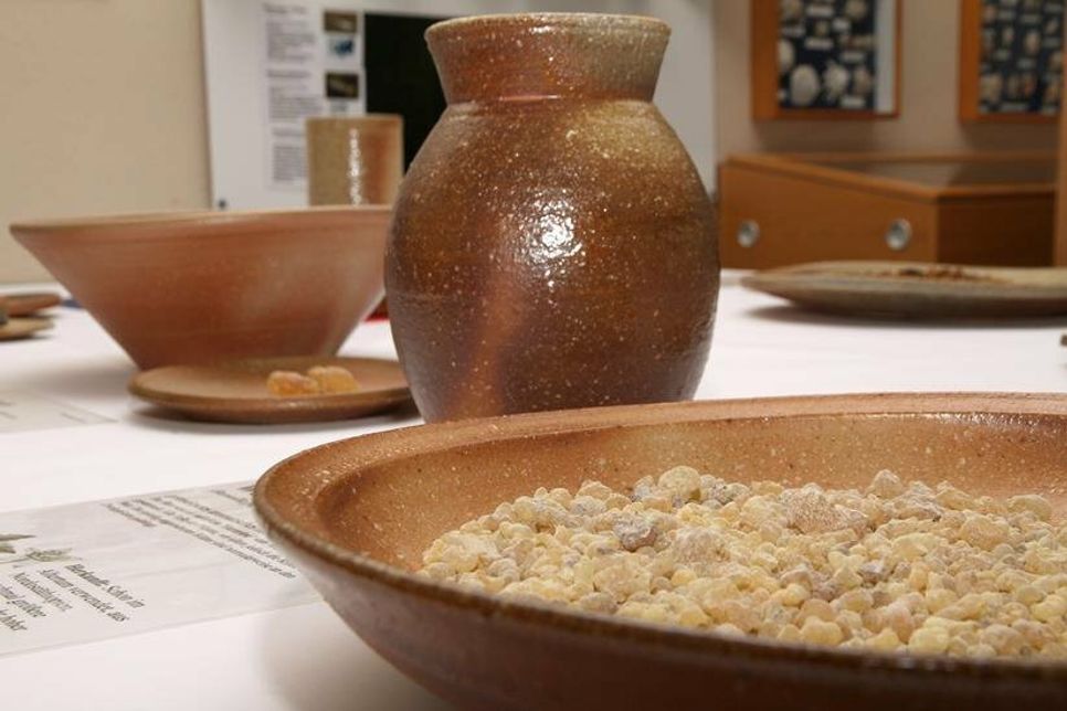 Die einfühlsam gestaltete Präsentation der Gewürze in den Keramiken unterstreicht die japanische Sichtweise, in der die kostbare Keramik durch die Benutzung an Bedeutung gewinnt.