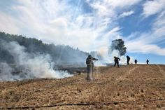 Rettin/Rogerfelde. Wochenlange Trockenheit hat nicht nur die Waldbrandgefahr enorm ansteigen lassen - auch Felder sind bedroht. Aus bislang ungeklärter Ursache stand in Rogerfelde am Dienstagnachmittag plötzlich ein Teil eines abgeernteten Rapsfeldes in Flammen. Der Flächenbrand konnte schnell von den Feuerwehren Neustadt, Altenkrempe und Roge gelöscht werden. Kurze Zeit später musste die Feuerwehr Neustadt erneut ausrücken, um einen Feldbrand zwischen Rettin und Pelzerhaken zu löschen. (sm/ab)