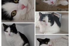 Milly.