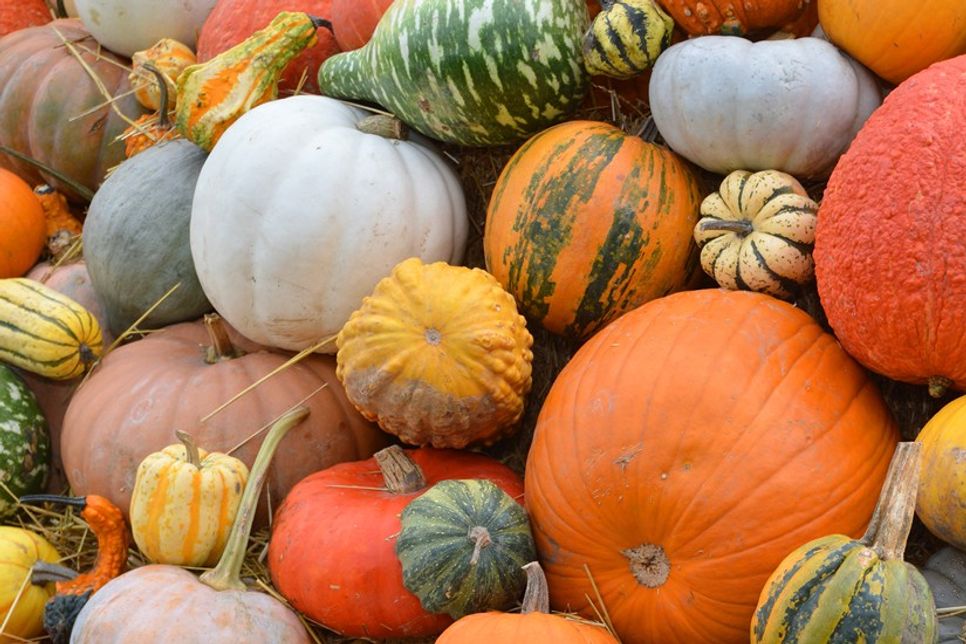 Kürbis gehört zu den vielseitigsten Zutaten der Herbstküche.
