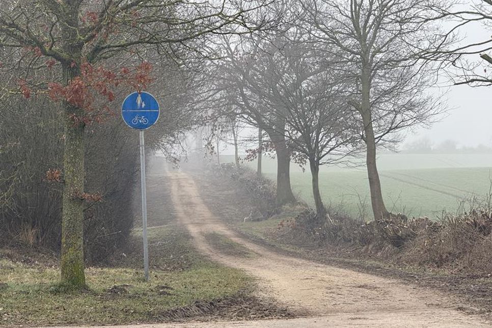 Holpriger Alltag für Radler: Der Ortsbeirat schlägt Verbesserungen für den Hohen-Ellhorn-Weg vor.