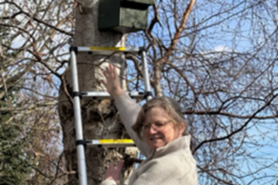 Christiane Mosdzen beim Aufhängen der Nistkästen.