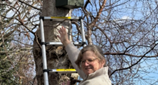 Christiane Mosdzen beim Aufhängen der Nistkästen.