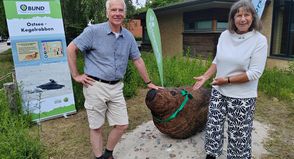 Nicola Boll vom BUND Mecklenburg-Vorpommern hat die lebensgroße Robbenskulptur aus Eichenholz an Matthias Braun vom Landschaftspflegeverein Dummersdorfer Ufer übergeben.