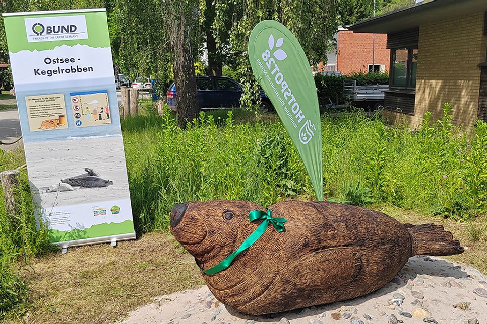 Die 300 Kilogramm schwere, lebensgroße Robben-Skulptur aus Eichenholz wurde von Lucas Drechsler aus Löbnitz geschnitzt.