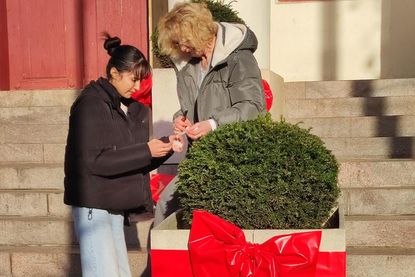Profis bei der Arbeit: Schaufensterdekorateurin Sabine Niemann (re.) und ihre Auszubildende Maryam Karimi aus der eska-Dekorationsabteilung schmückten die Rathaustreppe.