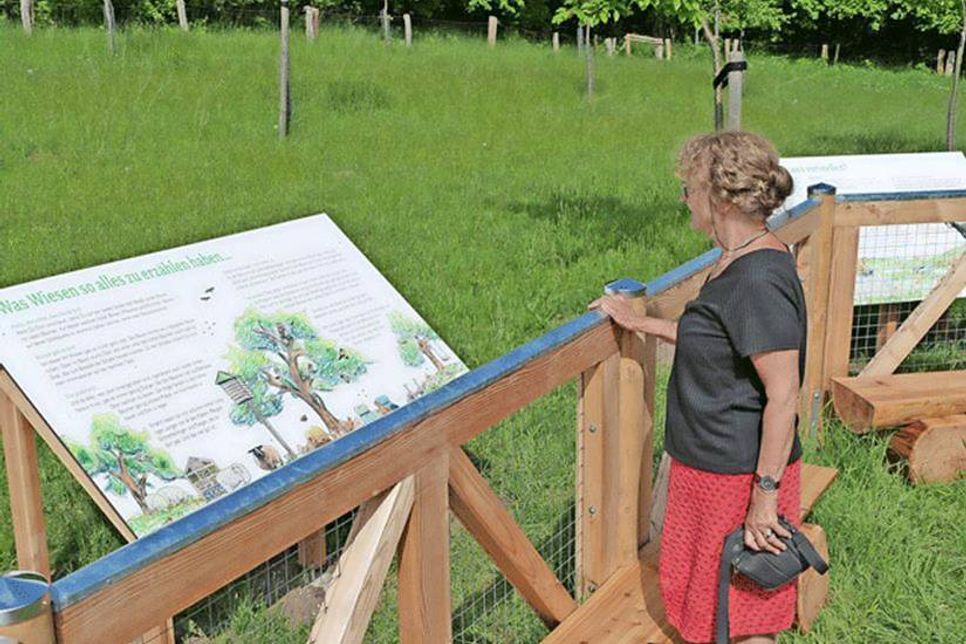 Der neue Informationsbereich in der Malenter Au lädt zum Verweilen ein.