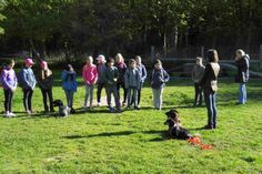 Den Höhepunkt stellte die Arbeit mit ausgebildeten Jagdhunden dar. Die Hunde zeigten eindrucksvoll ihr Können. Vorbildlich wurden die Schüler eingebunden. Jedes Kind durfte Hunde führen und wurde auch angehalten, bestimmte Aufgaben mit ihnen zu erfüllen.