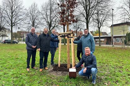 Der Gewerbeverein und die Stadt Neustadt haben gemeinsam diesen neuen Baum im Stadtpark angepflanzt: Uwe Muchow (Chronist vom Gewerbeverein), Bürgermeister Mirko Spieckermann, Kassenwart Timo Schöning, Schriftwart Jürgen Mohr, 2. Vorsitzender Dirk Heckmann und 1. Vorsitzender Sven Muchow (v. lks.).