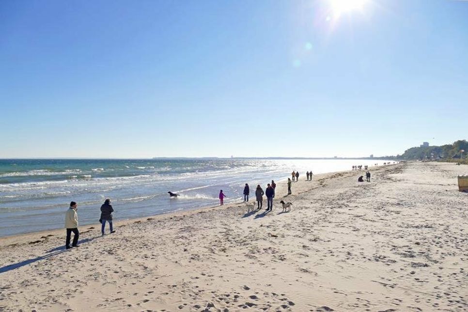 Ab 1. Oktober gibt es in Scharbeutz, Sierksdorf und Neustadt grenzenloses Strandvergnügen für Hund und Halter. (Foto: www.luebecker-bucht-ostsee.de)