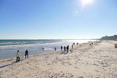 Ab 1. Oktober gibt es in Scharbeutz, Sierksdorf und Neustadt grenzenloses Strandvergnügen für Hund und Halter. (Foto: www.luebecker-bucht-ostsee.de)