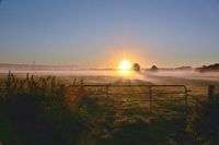 Sonnenaufgang auf dem Land. Zu dieser Zeit gelingen die stimmungsvollsten Aufnahmen, wie auch das tolle Foto von Monika Grebien zeigt. Aufgenommen wurde es bei Altenkrempe.